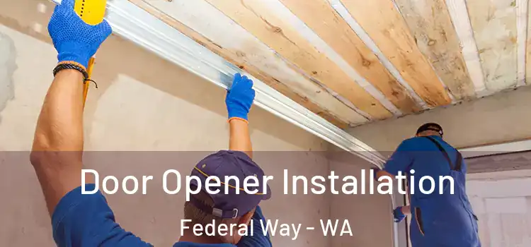  Door Opener Installation Federal Way - WA