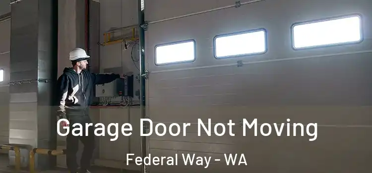  Garage Door Not Moving Federal Way - WA
