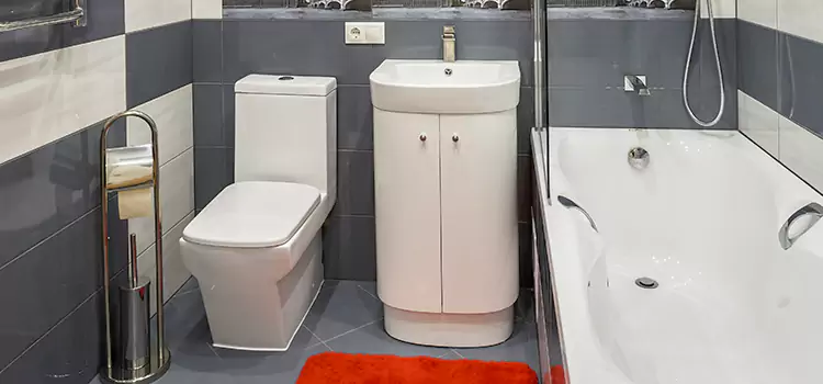 Hansgrohe Shaving Mirror Federal Way