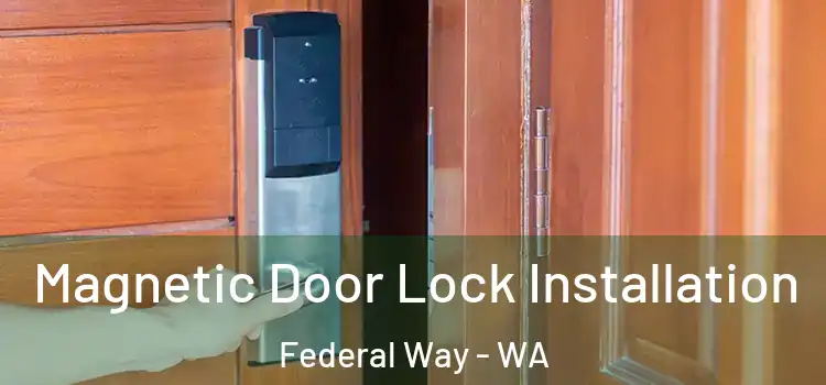  Magnetic Door Lock Installation Federal Way - WA